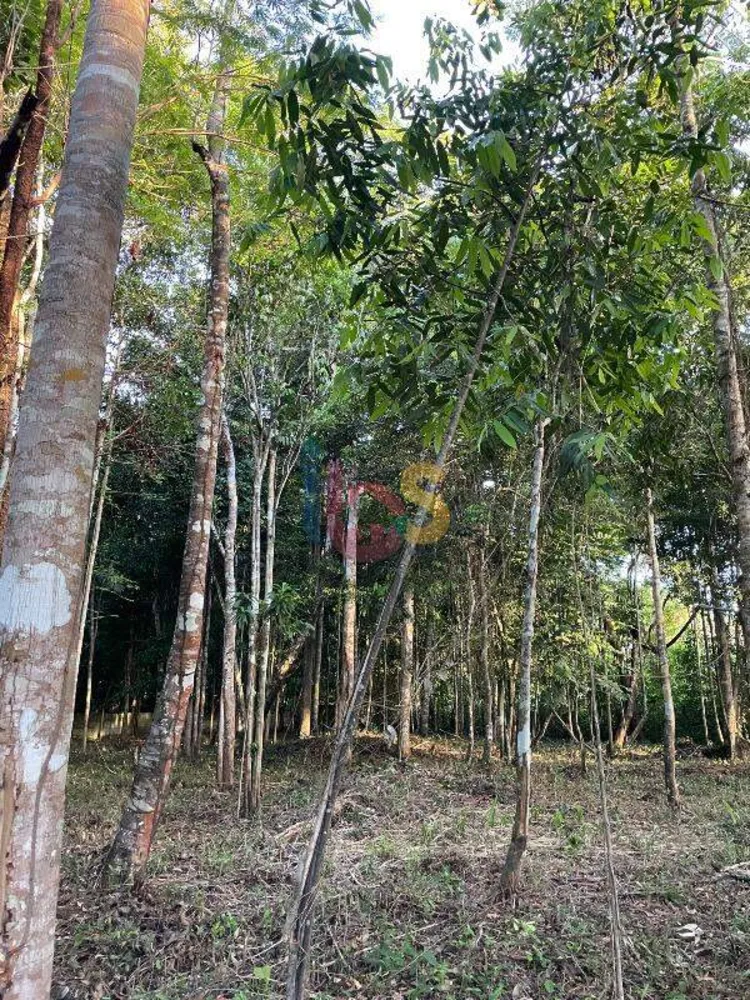 Terreno, 3850 m² - Foto 4