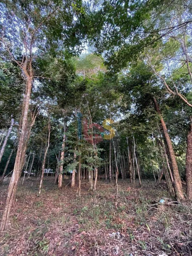 Terreno, 3850 m² - Foto 7