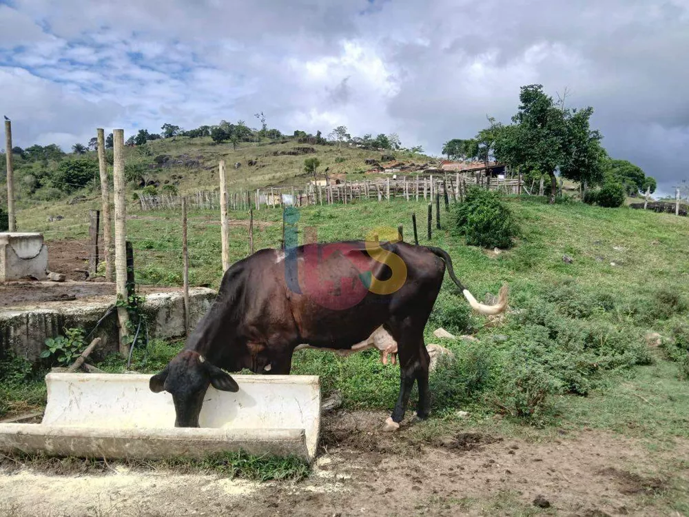 Fazenda à venda, 550000m² - Foto 4