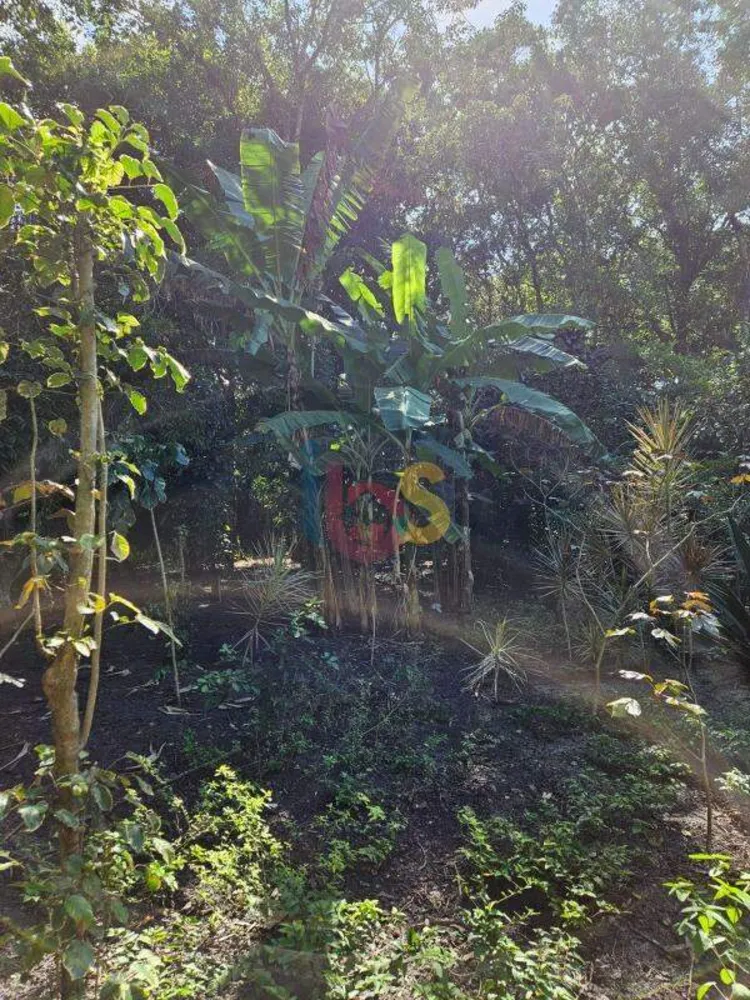 Terreno, 1030 m² - Foto 4