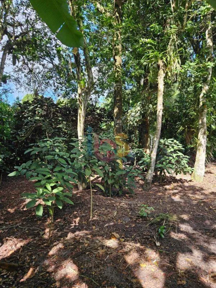 Terreno, 1030 m² - Foto 2