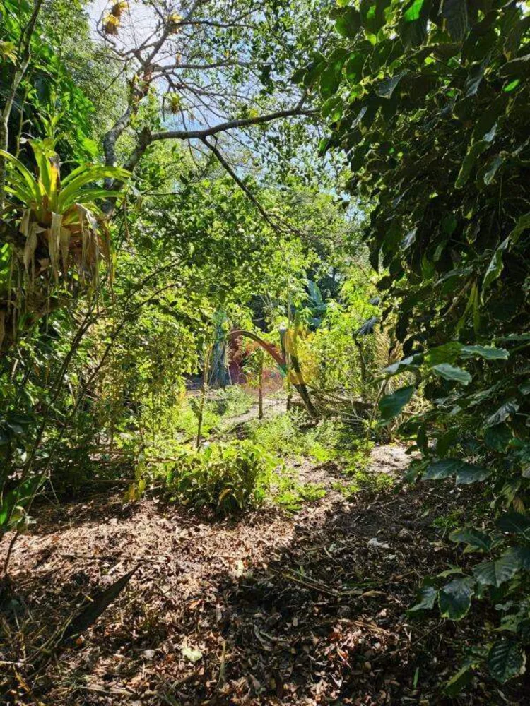 Terreno, 1030 m² - Foto 6