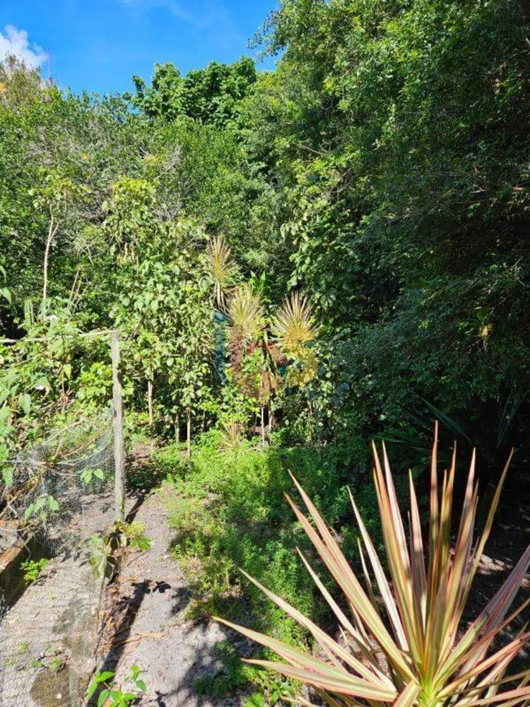 Terreno, 1030 m² - Foto 5