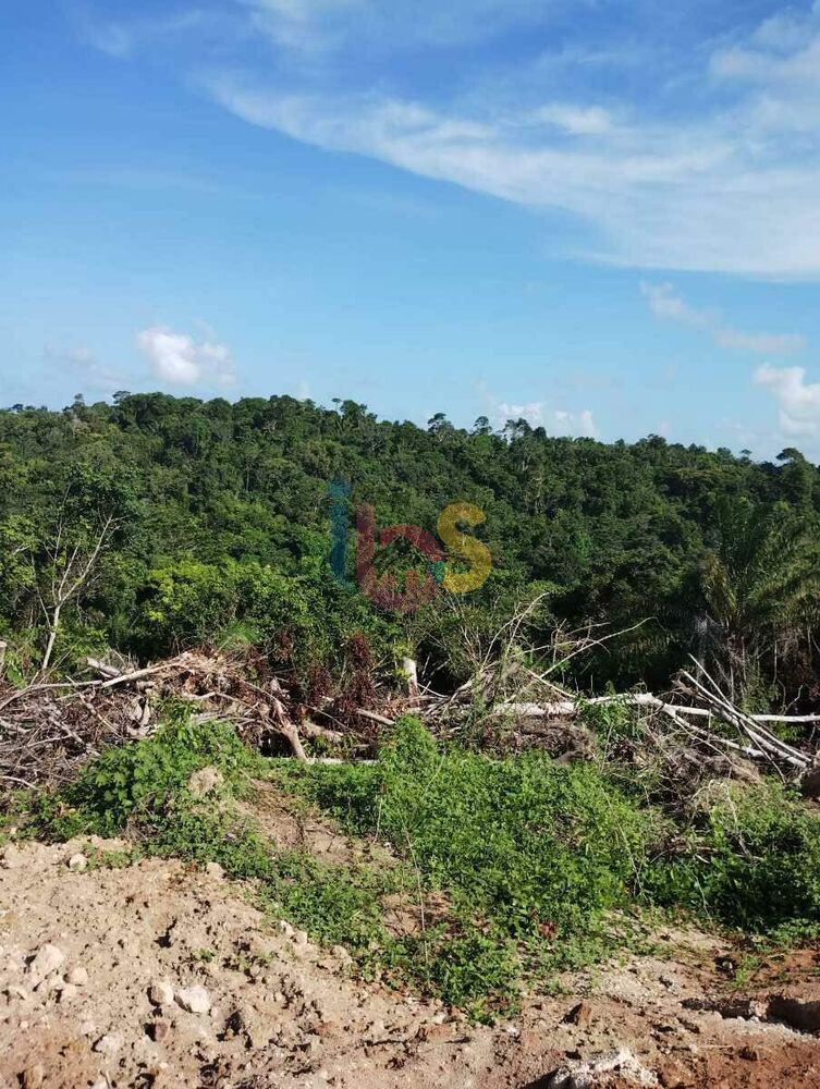 Terreno, 8 hectares - Foto 3