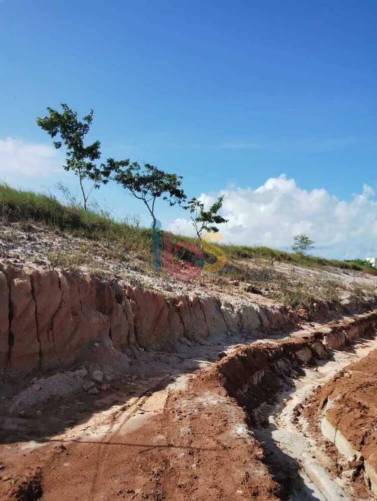 Terreno, 8 hectares - Foto 4