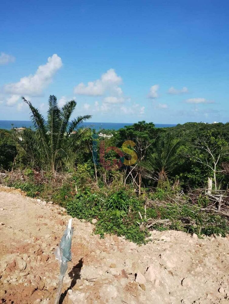 Terreno, 8 hectares - Foto 2