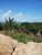 Terreno, 8 hectares - Foto 2