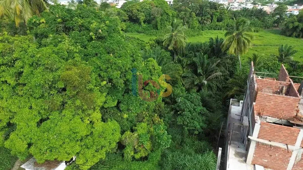 Terreno, 450 m² - Foto 4