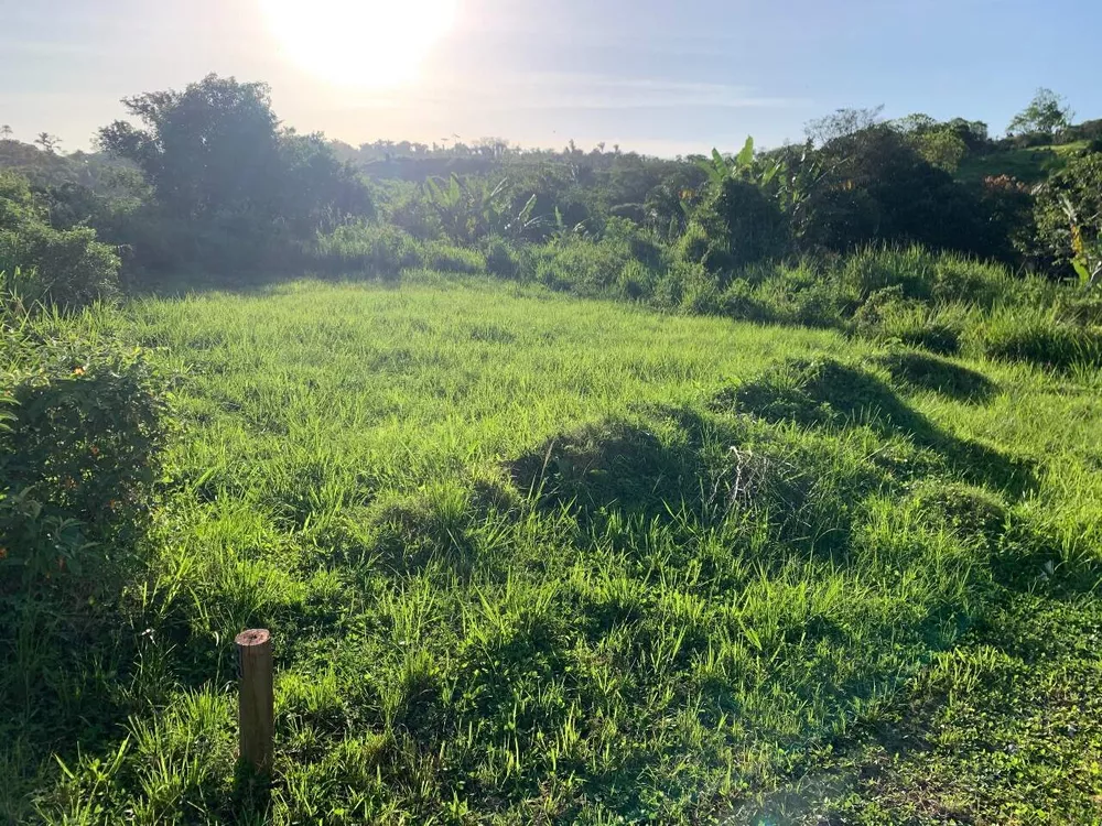 Terreno à venda, 2100m² - Foto 4