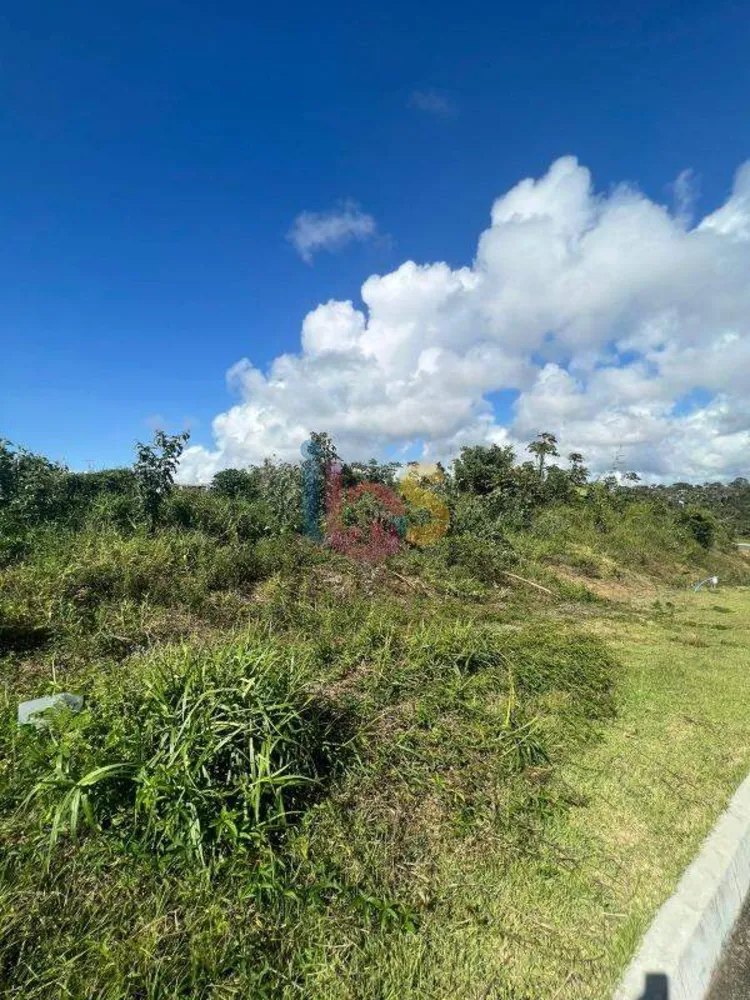 Terreno, 466 m² - Foto 7