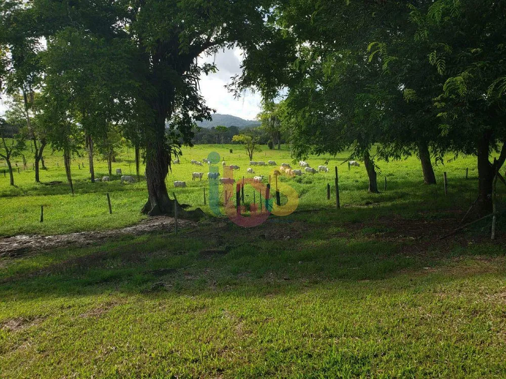 Fazenda - Foto 1
