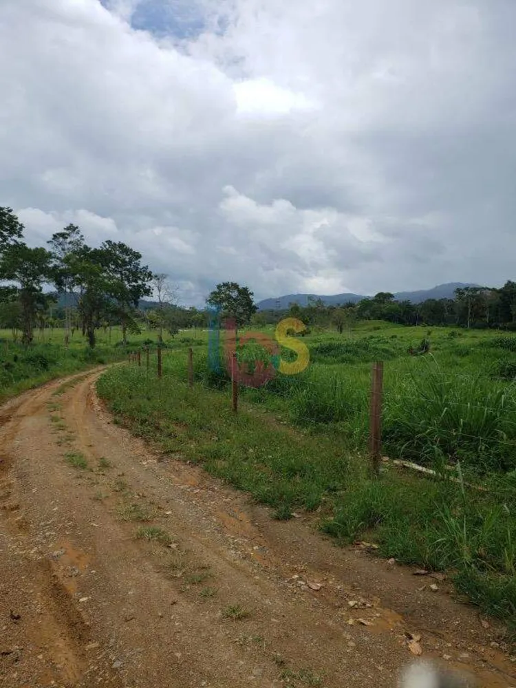 Fazenda - Foto 8