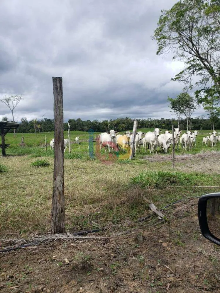 Fazenda - Foto 3