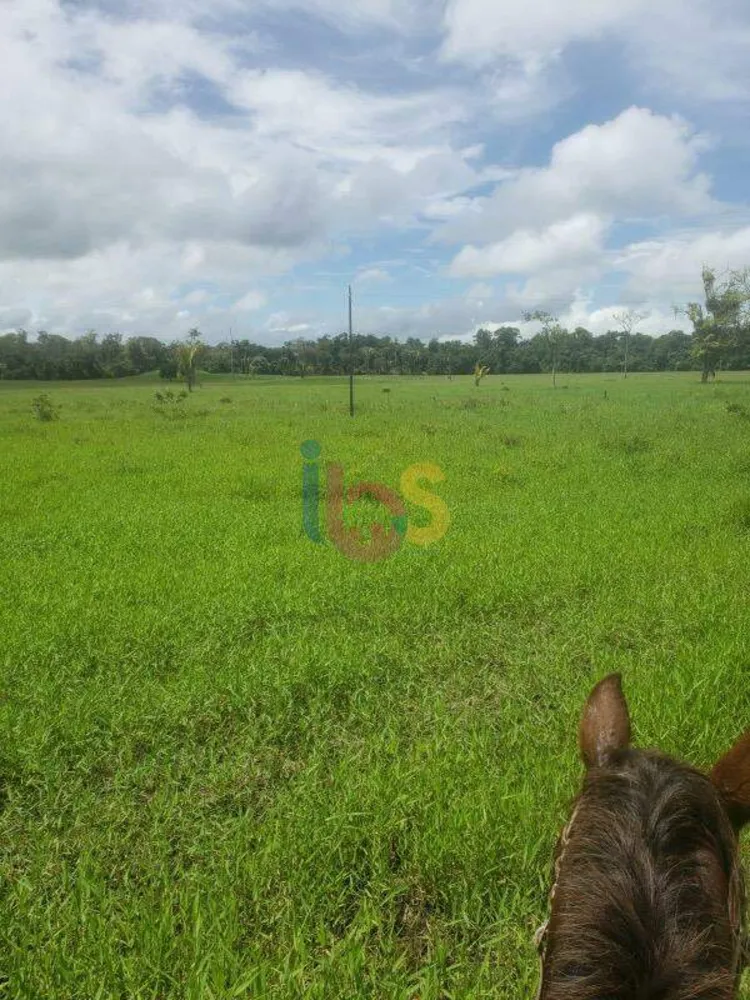 Fazenda - Foto 7
