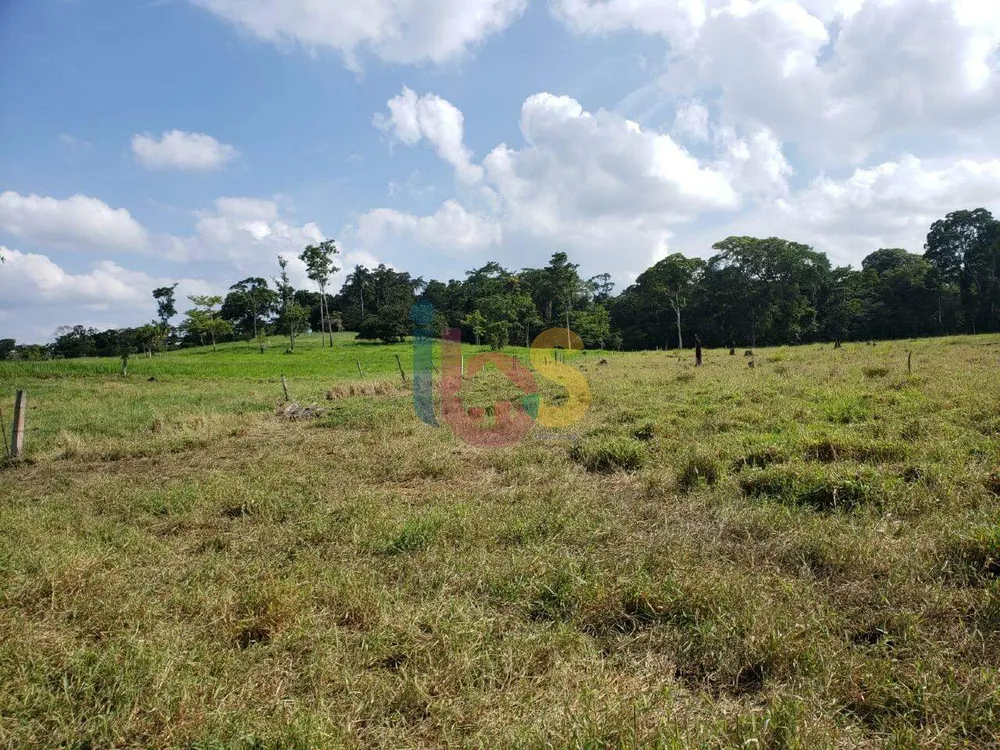 Fazenda - Foto 6