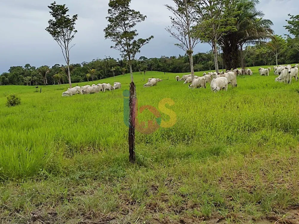 Fazenda - Foto 4
