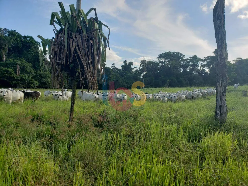 Fazenda - Foto 1