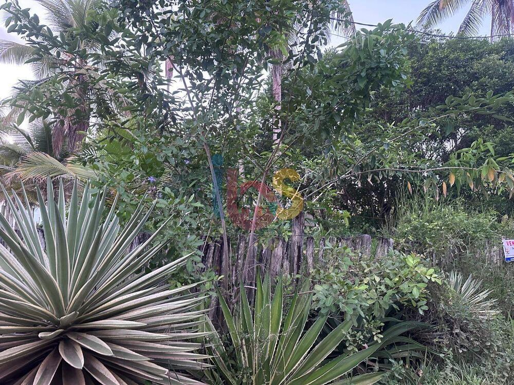 Terreno, 4000 m² - Foto 3