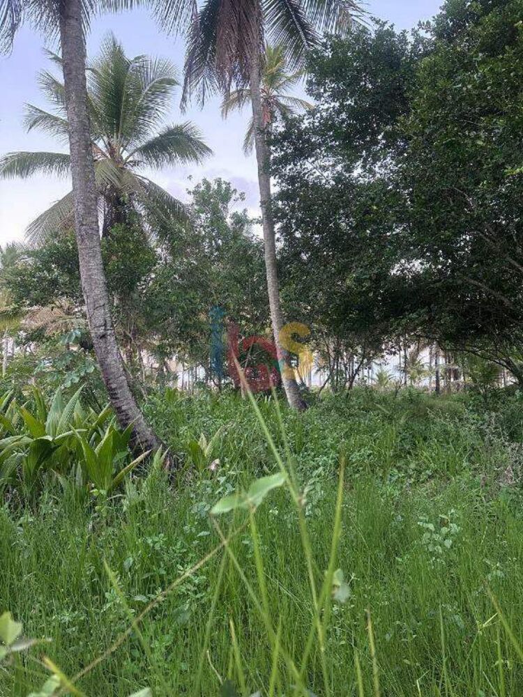 Terreno, 4000 m² - Foto 4