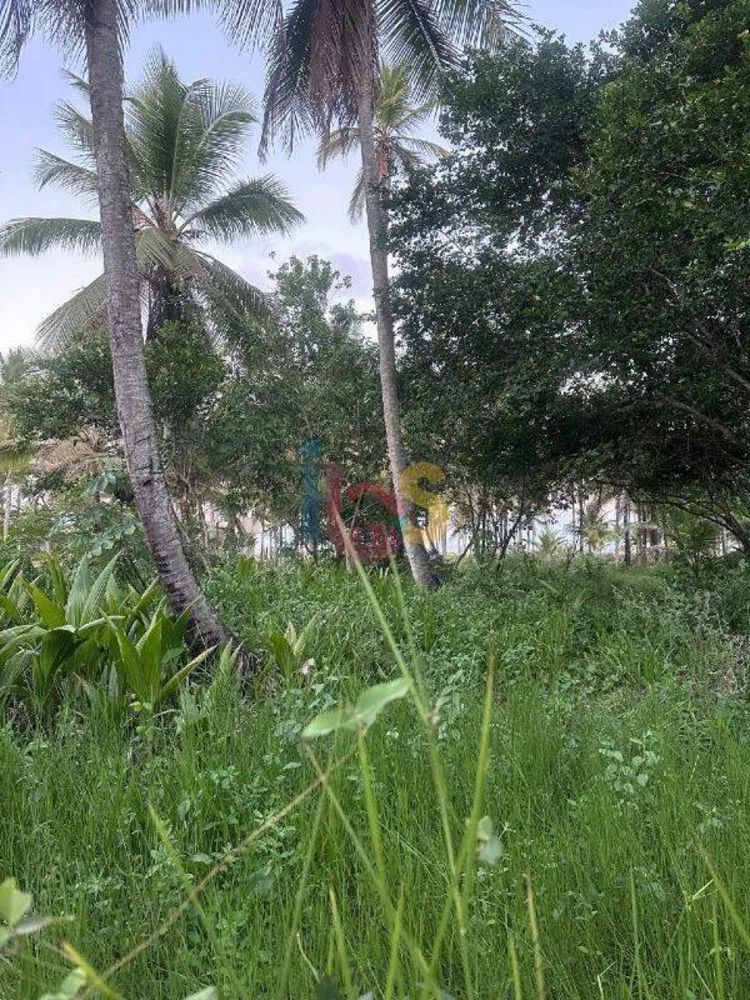Terreno, 4000 m² - Foto 15