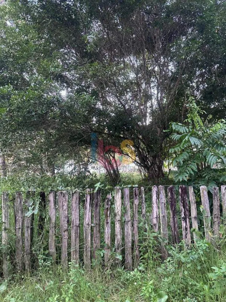 Terreno, 4000 m² - Foto 22
