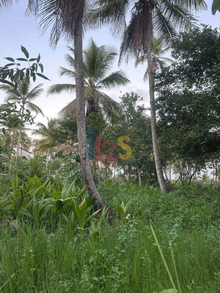 Terreno, 4000 m² - Foto 16