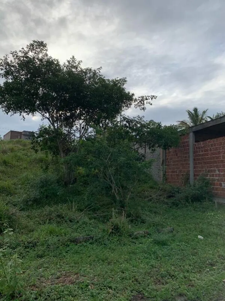 Terreno, 360 m² - Foto 2