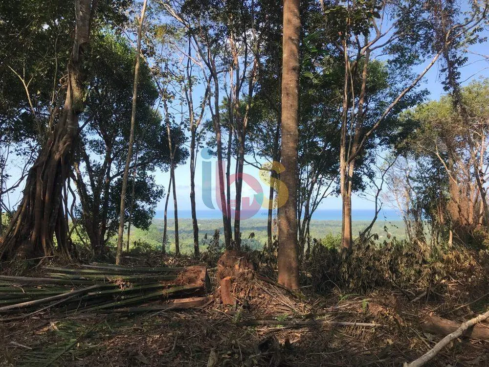Sítio - Foto 5