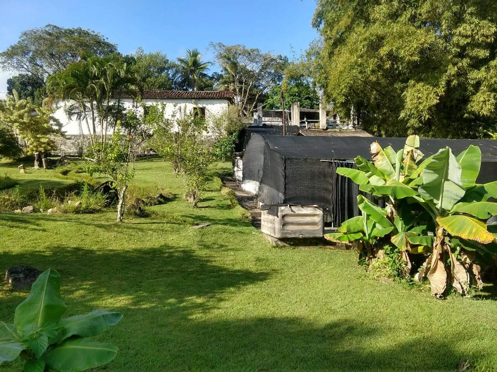 Sítio, 4 quartos, 2784 m² - Foto 12