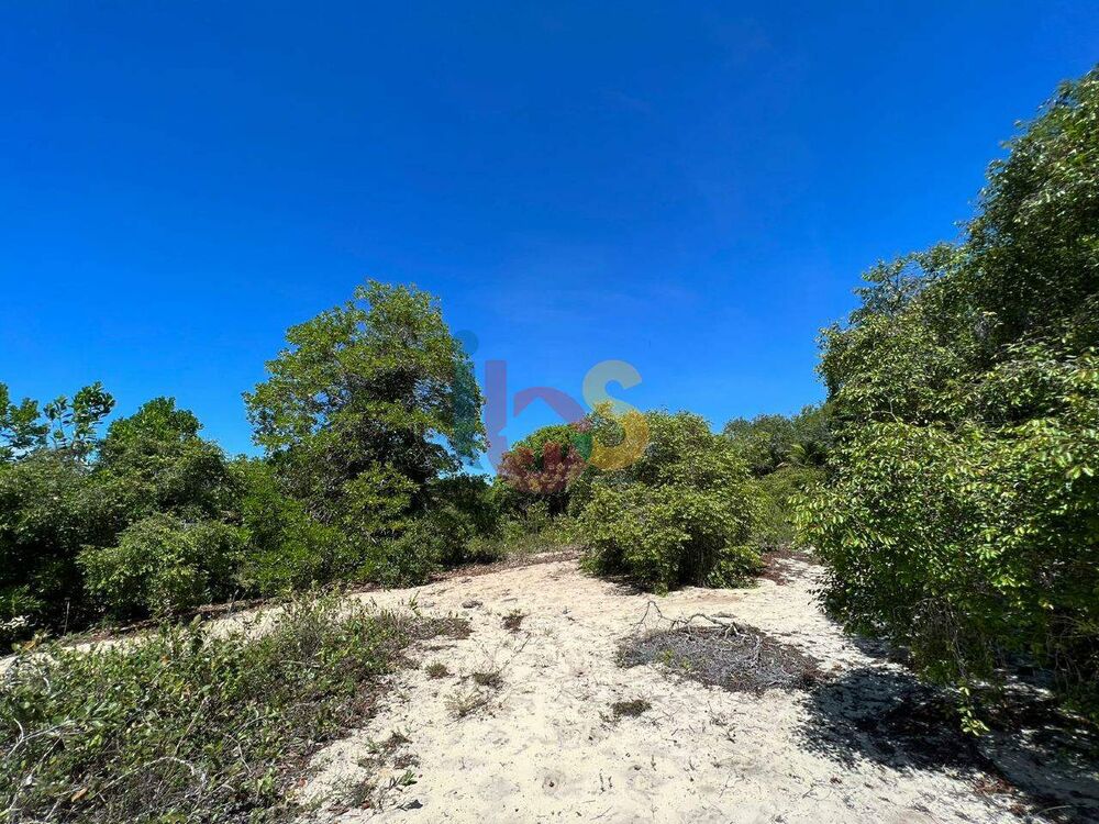 Terreno, 10000 m² - Foto 3
