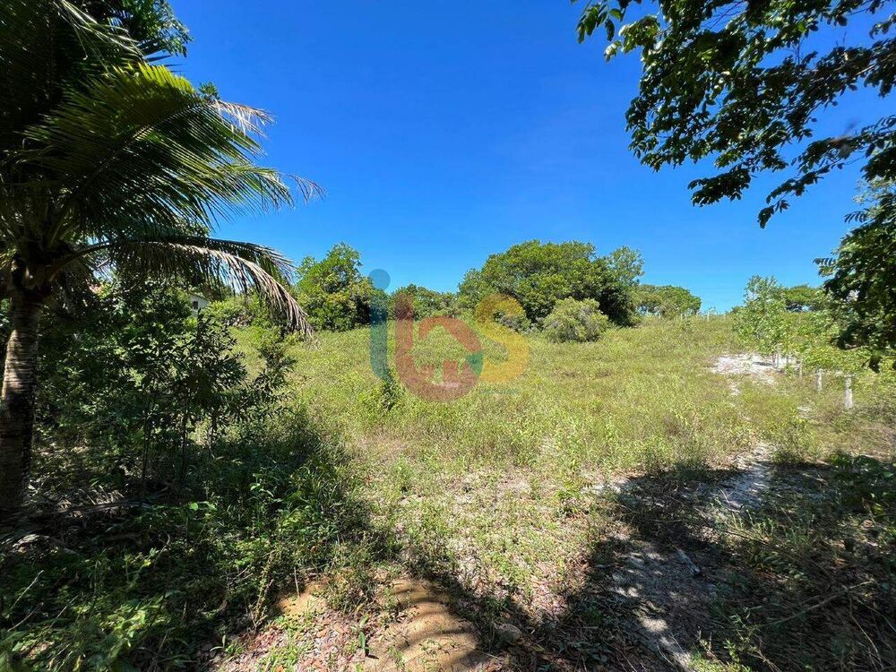 Terreno, 10000 m² - Foto 4