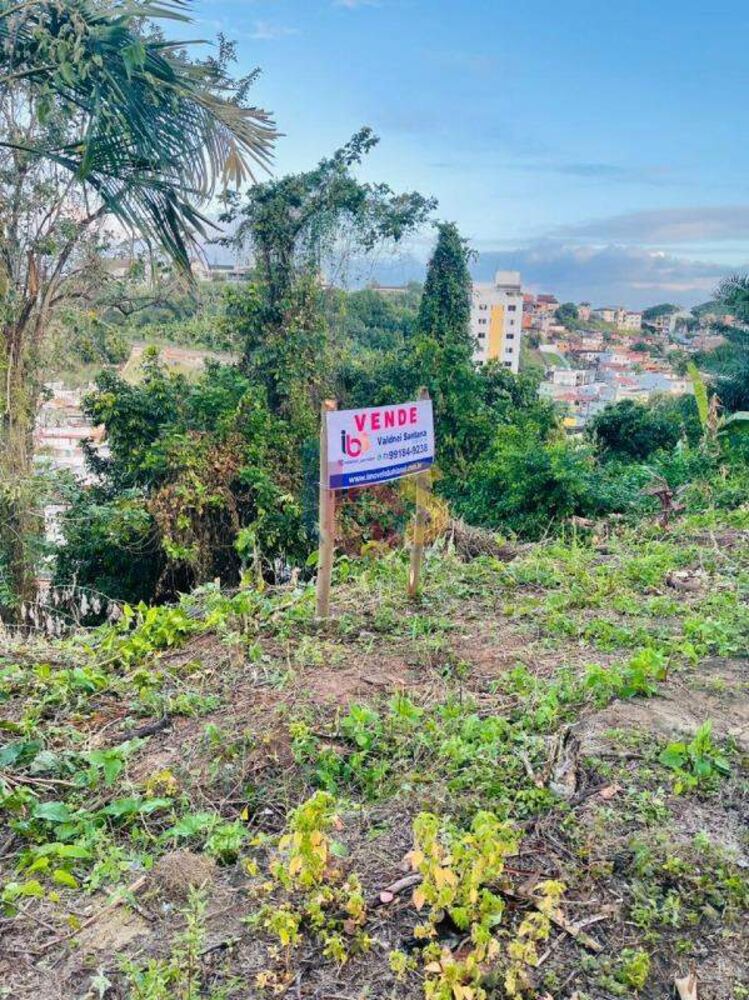 Terreno, 300 m² - Foto 8