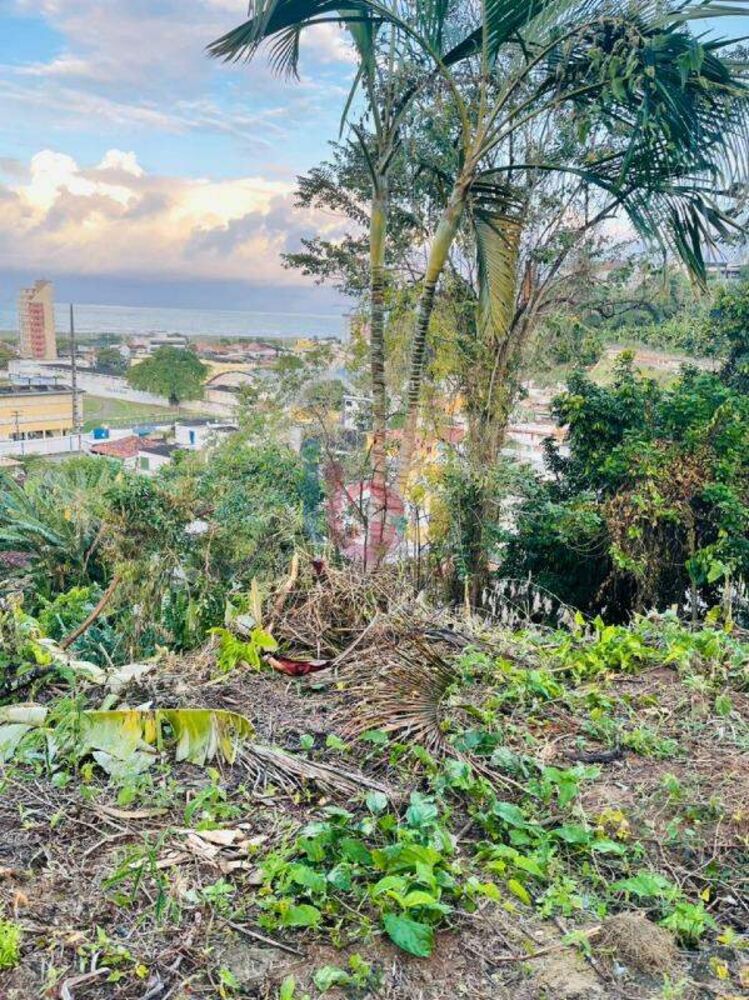 Terreno, 300 m² - Foto 3