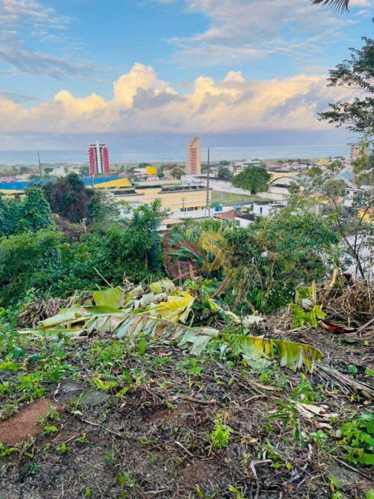 Terreno, 300 m² - Foto 4
