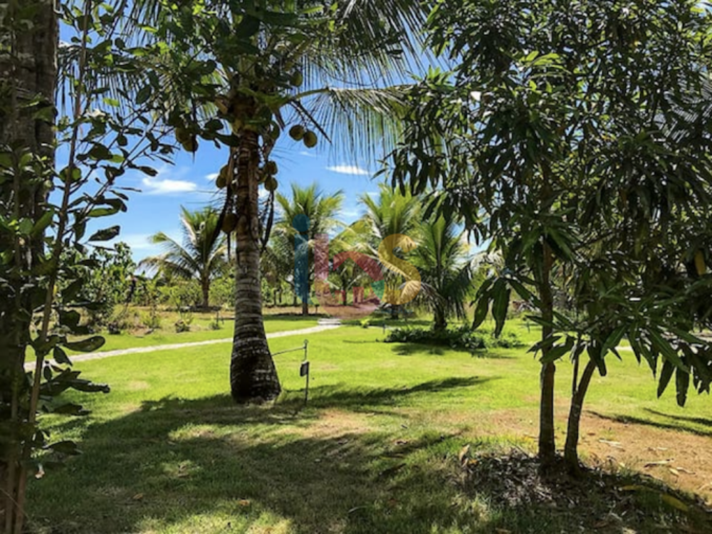 Sítio, 14 quartos, 496 m² - Foto 3