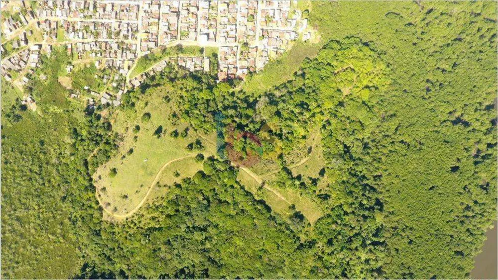 Terreno, 41 hectares - Foto 4