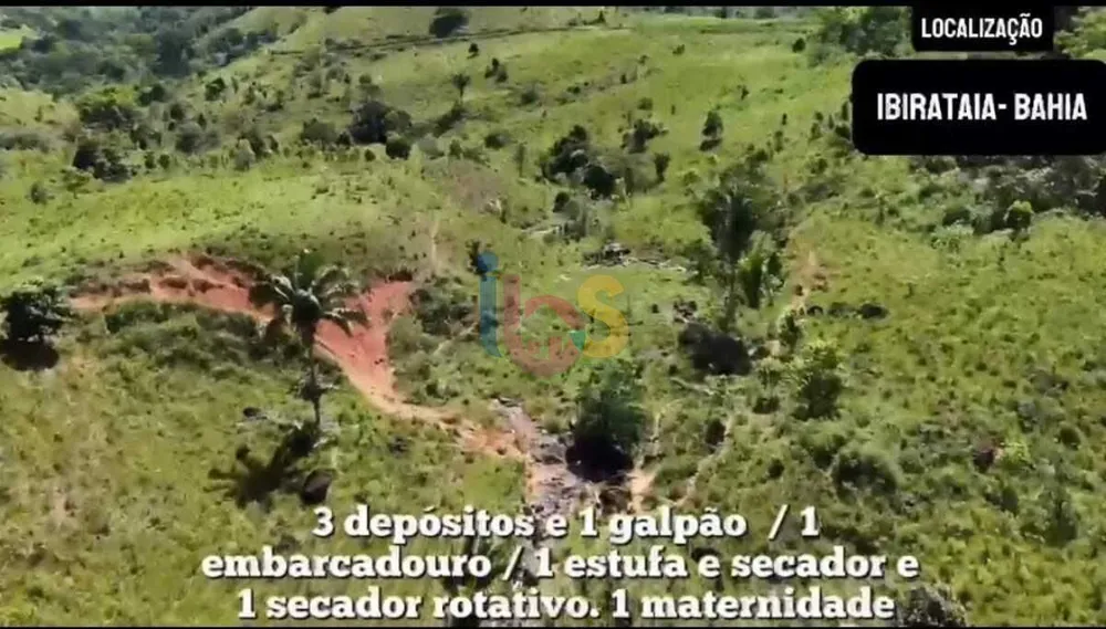 Fazenda - Foto 6