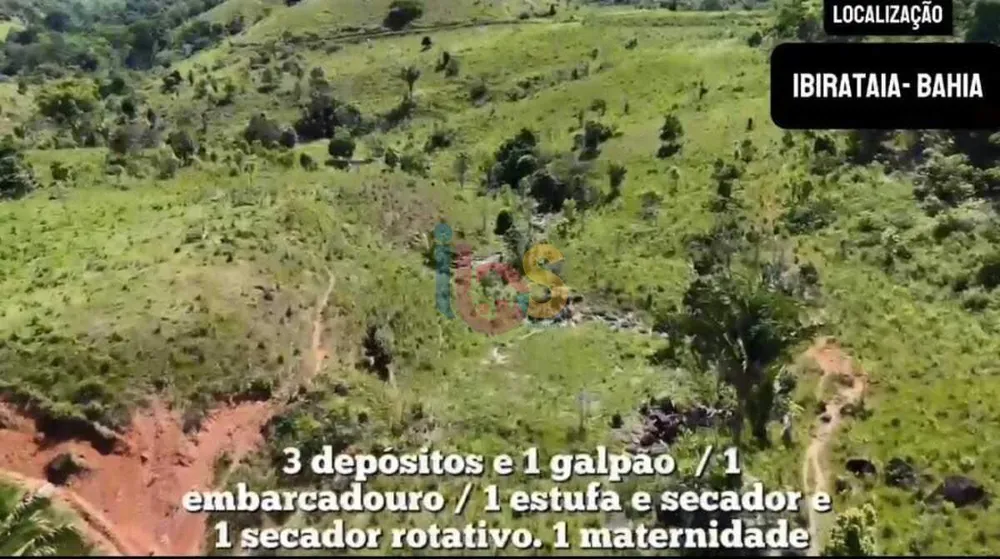 Fazenda - Foto 8