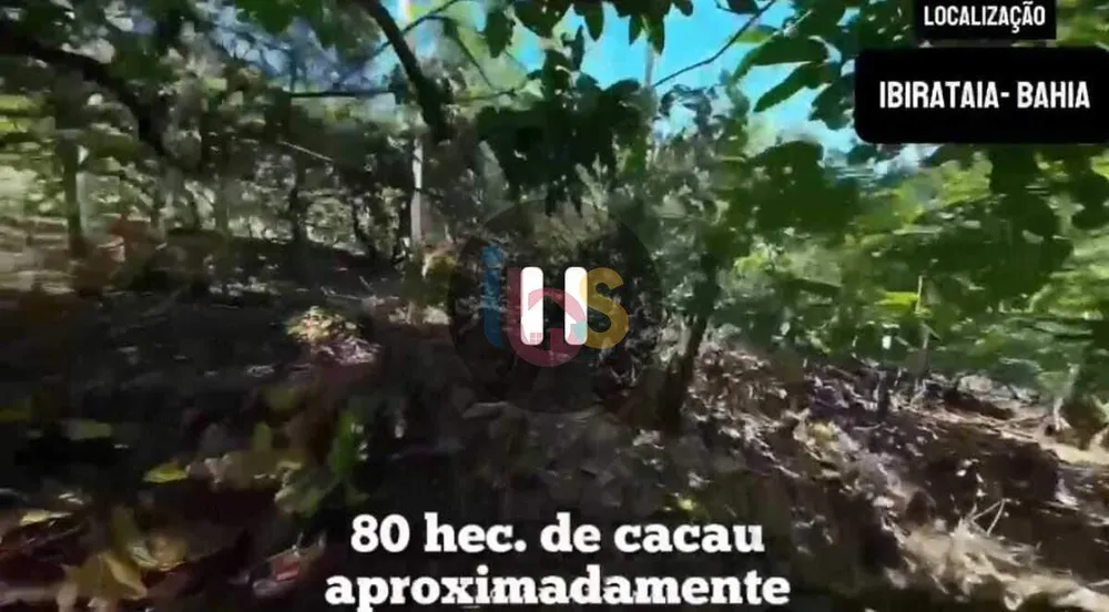 Fazenda - Foto 7
