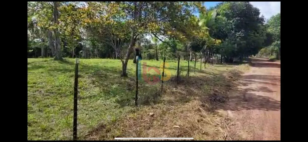 Terreno, 4 hectares - Foto 6