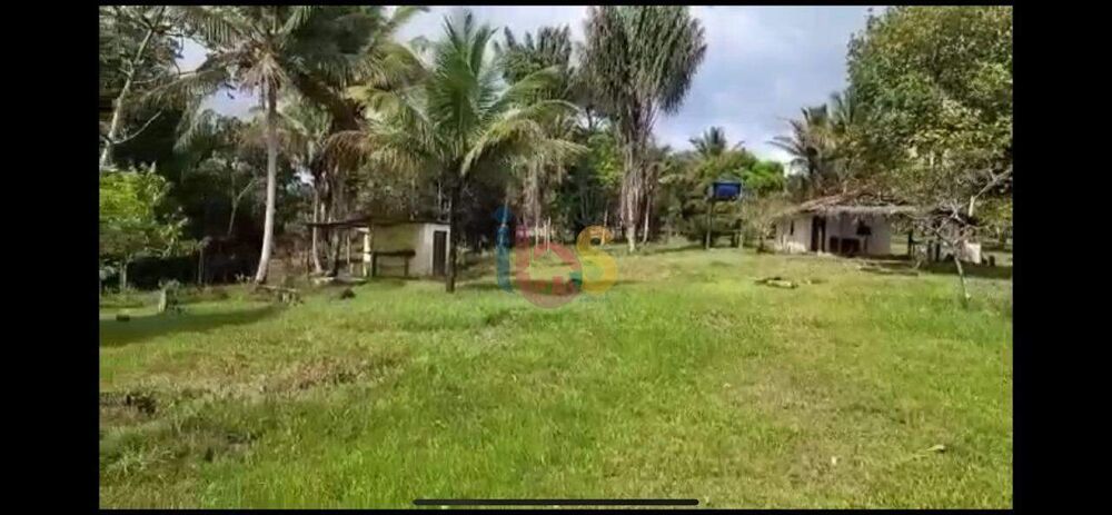 Terreno, 4 hectares - Foto 4