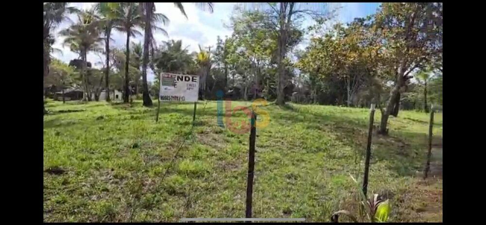 Terreno, 4 hectares - Foto 1