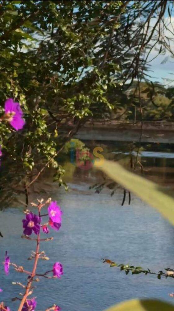 Fazenda-Sítio-Chácara, 228 m² - Foto 1