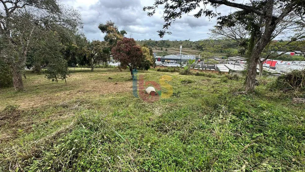 Terreno, 4450 m² - Foto 2