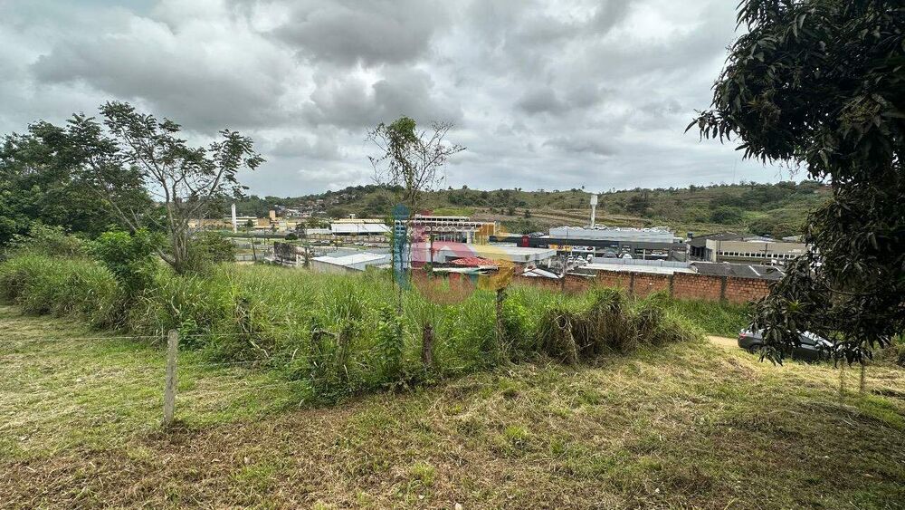 Terreno, 4450 m² - Foto 4