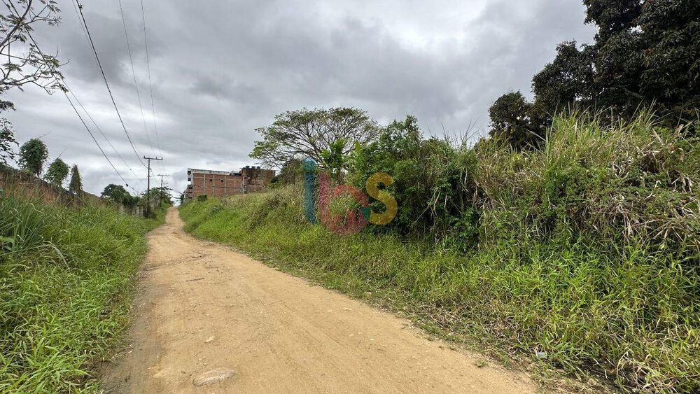 Terreno, 4450 m² - Foto 3