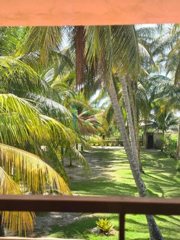 Casa, 5 quartos, 320 m² - Foto 4