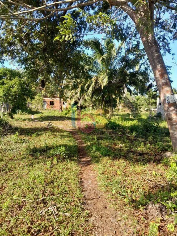 Terreno, 800 m² - Foto 4