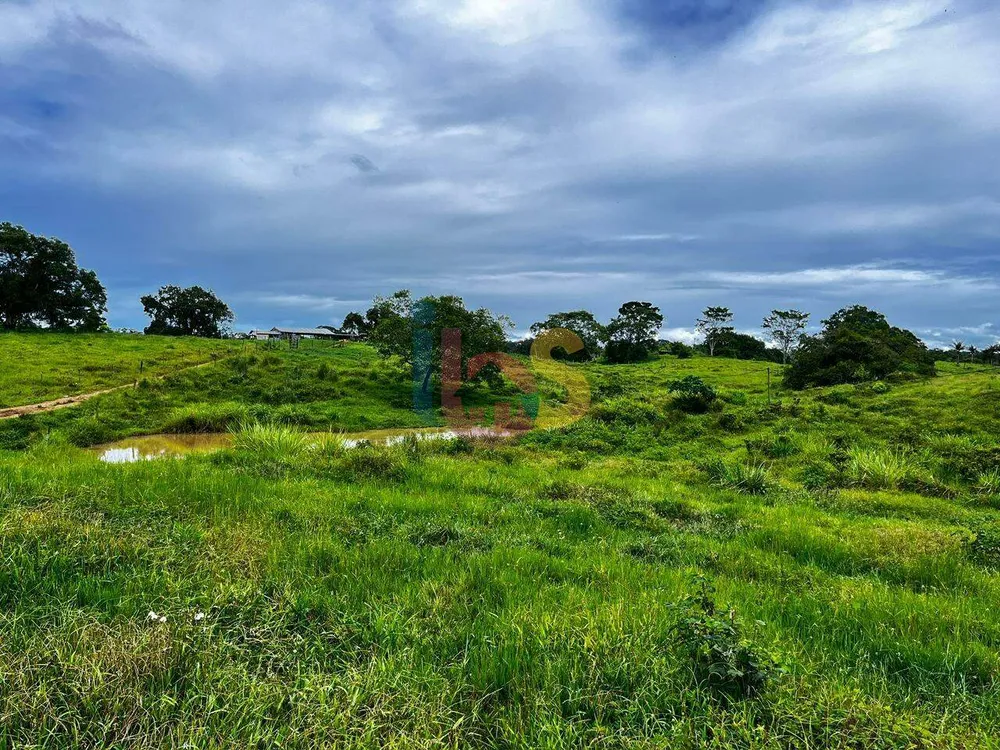 Fazenda - Foto 6