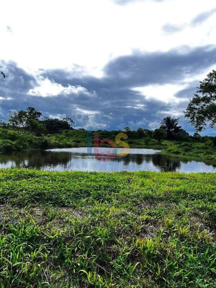Fazenda - Foto 11